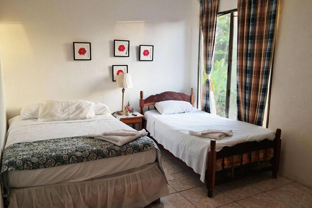 Lulu Beach Hotel เกาะคอร์น ภายนอก รูปภาพ